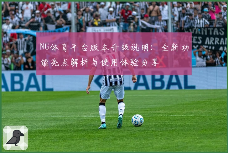 NG体育平台版本升级说明：全新功能亮点解析与使用体验分享